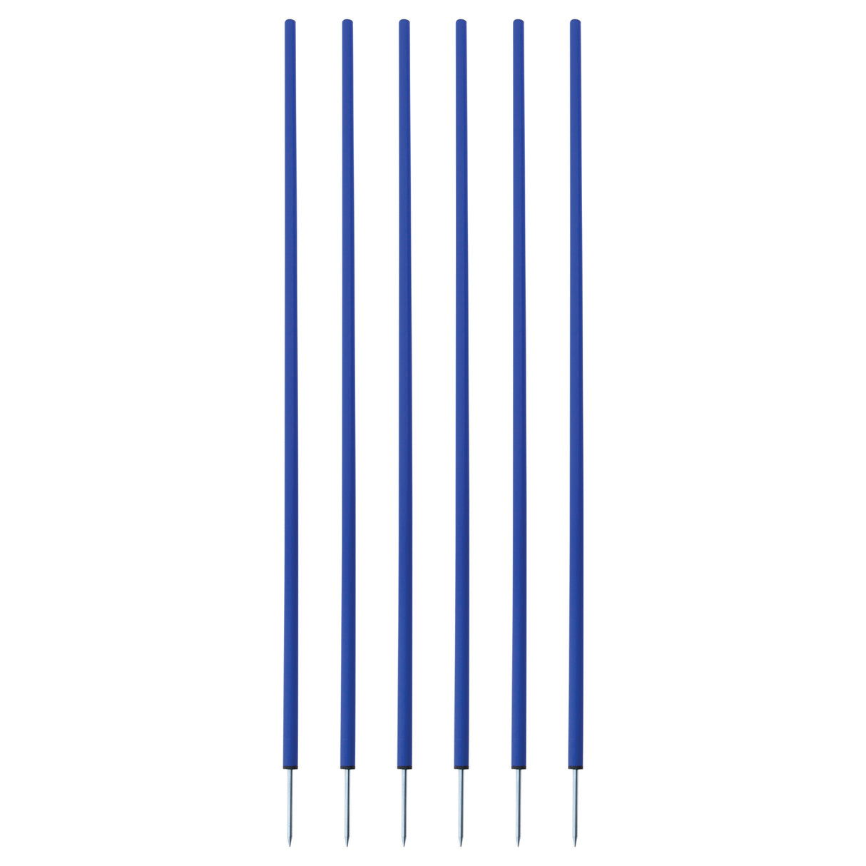 COACHING STICKS, SET OF 6 BLUE
