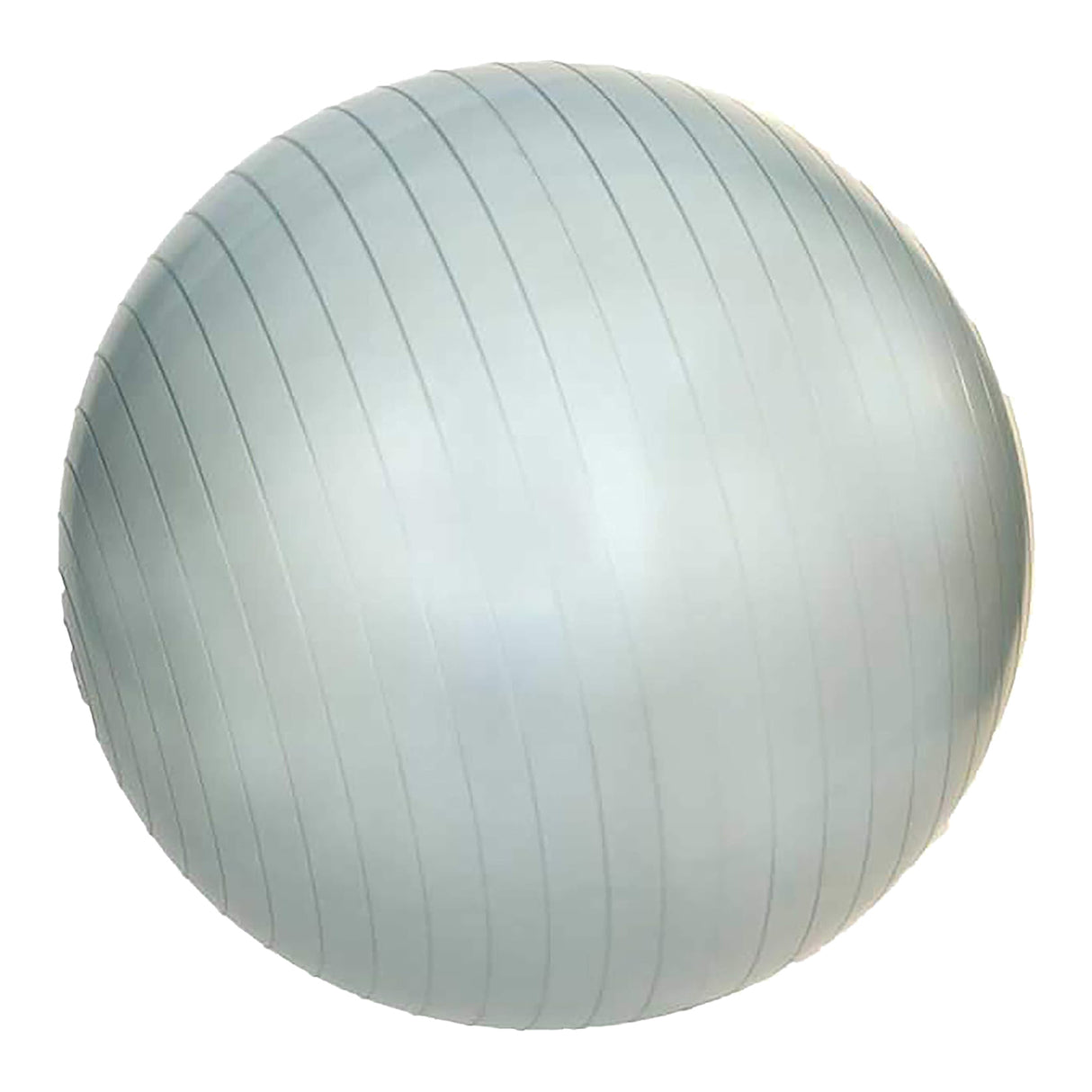 ANTI-BURST GYM BALL 55 CM