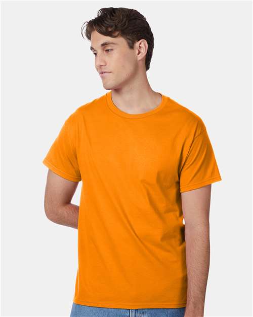 Hanes 5250 Unisex Authentic T-Shirt