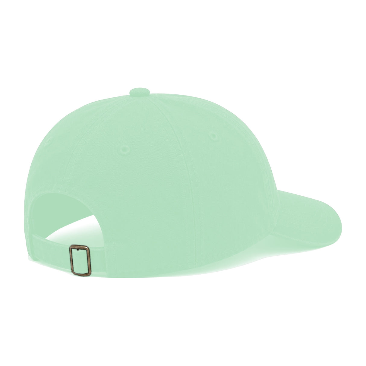 JOE102 Papa Joe Dad Hat - Mint (Back)