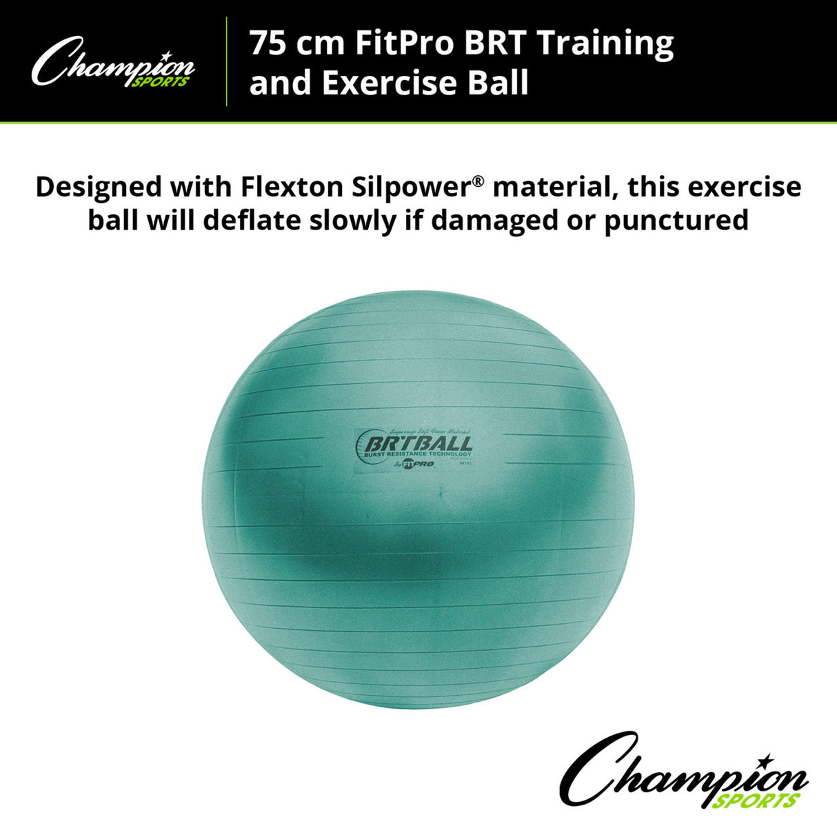Champion Sports FITPRO BRT TRAINING & EXERCISE BALL 53 CM