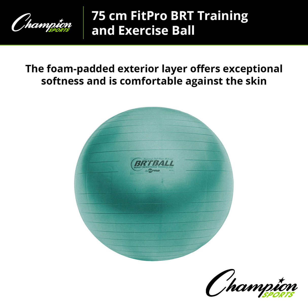 Champion Sports FITPRO BRT TRAINING & EXERCISE BALL 53 CM
