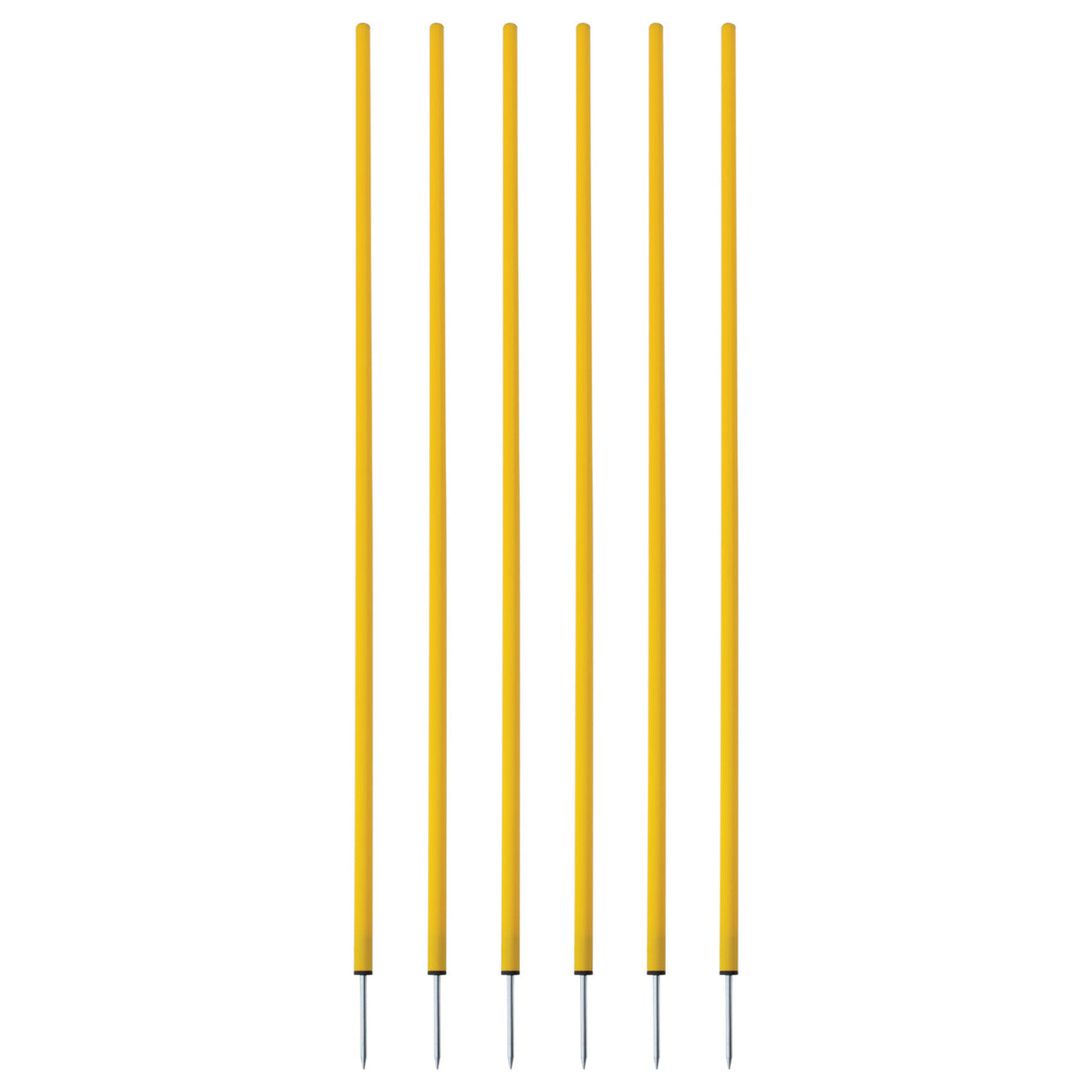 COACHING STICKS, SET OF 6 BLUE