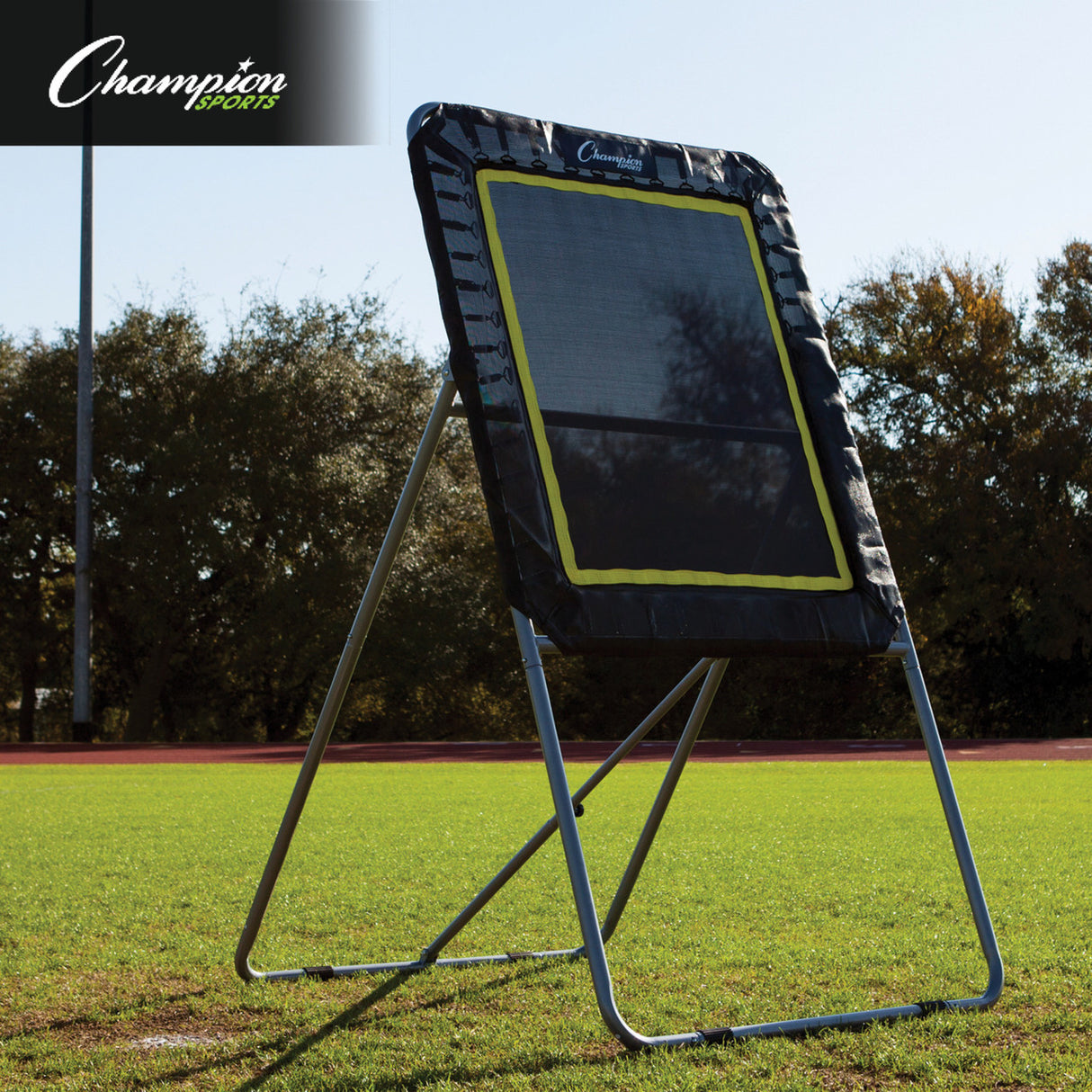 Champion Sports DELUXE REBOUNDER