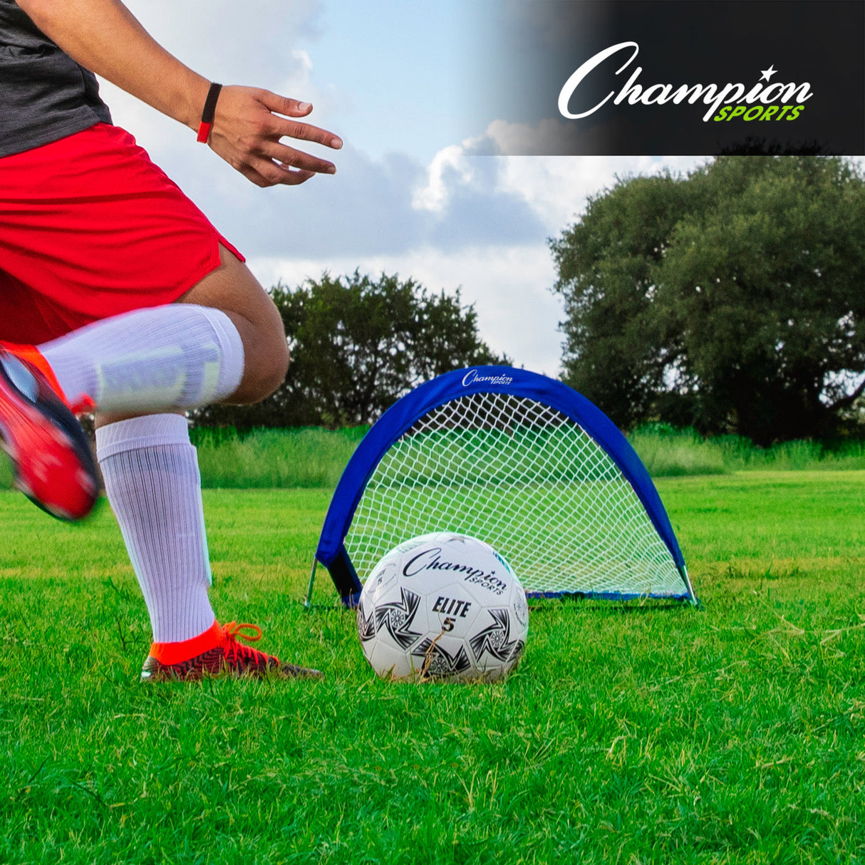 Champion Sports EXTREME SOCCER PORTABLE POP-UP GOALS 2.5' X 1.5'