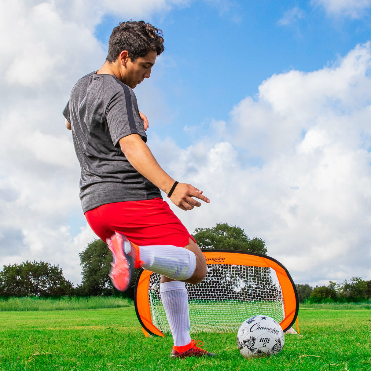 Champion Sports POP-UP SOCCER GOAL, 4' X 2'
