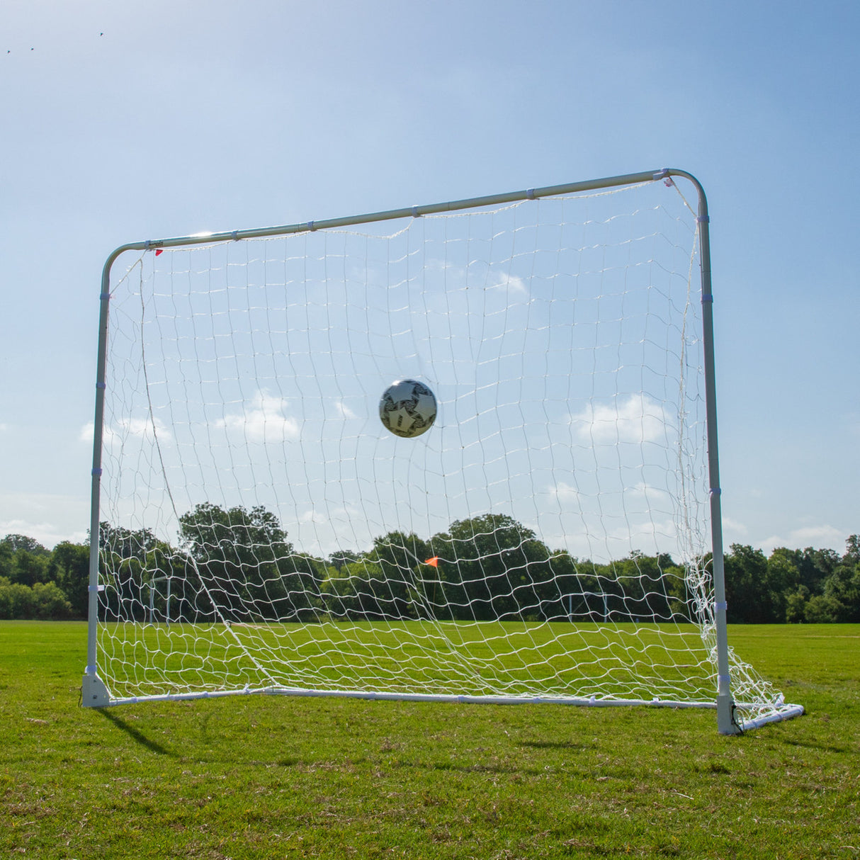 Champion Sports EASY FOLD SOCCER GOAL, 8' X 6'