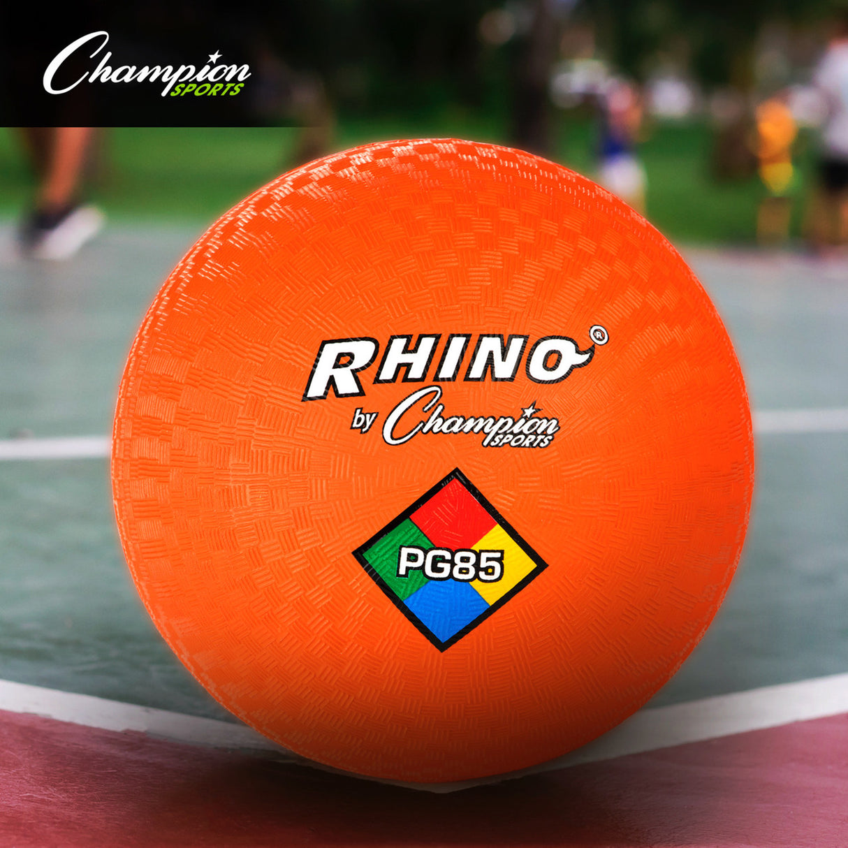 Champion Sports MIXED PLAYGROUND BALLS SET