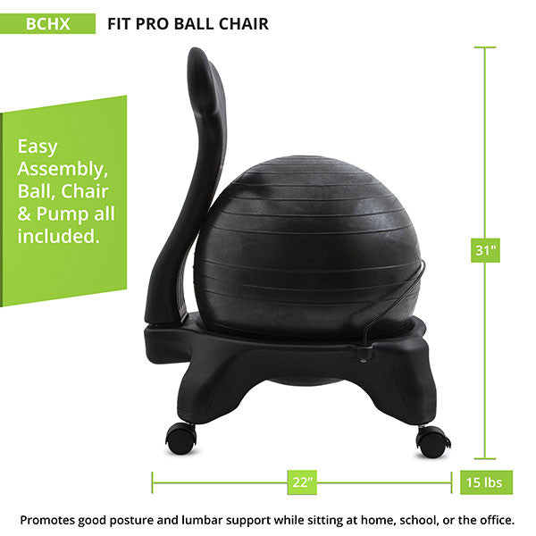 Champion Sports BALL CHAIR ADULT