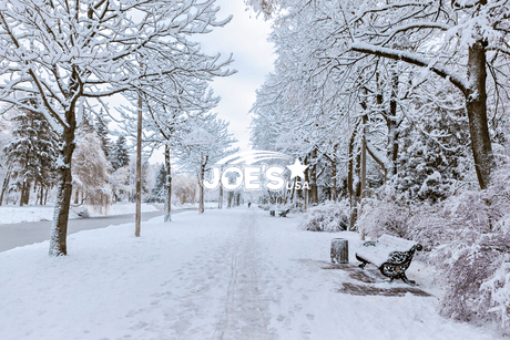 Stay Warm This Winter with Joe’s USA Accessories - Joe's USA