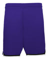 Alleson Athletic Youth Retro Basketball Shorts - Alleson Athletic A54000