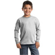 Youth Long Sleeve 100% Cotton T-Shirts Joe's USA X-Small (2-4) Ash