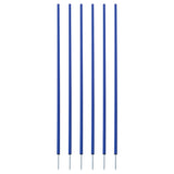 COACHING STICKS, SET OF 6 BLUE