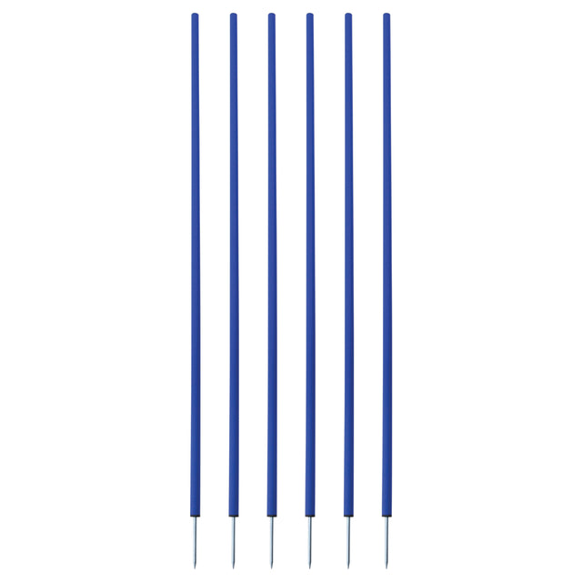 COACHING STICKS, SET OF 6 BLUE