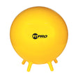 FITPRO BALL WITH STABILITY LEGS 65 CM