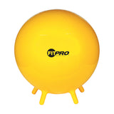 FITPRO BALL WITH STABILITY LEGS 65 CM