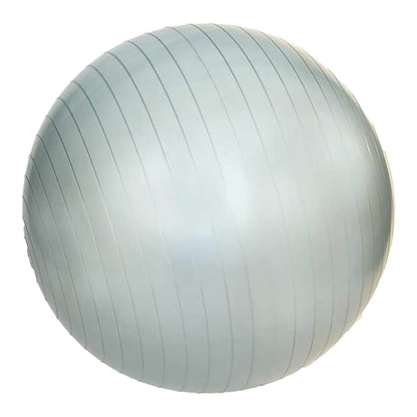 ANTI-BURST GYM BALL 55 CM