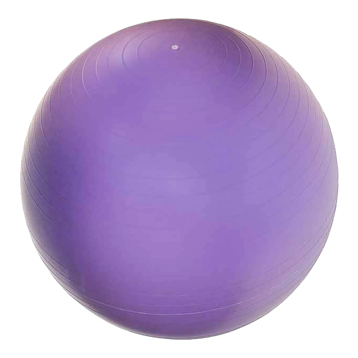ANTI-BURST GYM BALL 65 CM