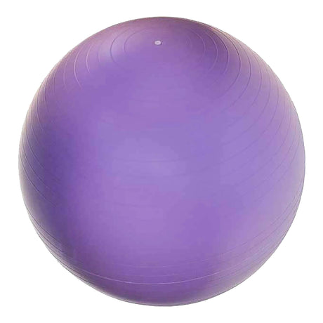 ANTI-BURST GYM BALL 65 CM