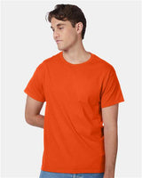 Hanes 5250 Unisex Authentic T-Shirt