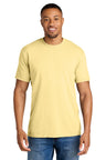 Comfort Colors 1717 Ring Spun Tee for Screen Printing