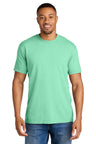 Comfort Colors 1717 Ring Spun Tee for Screen Printing