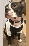 Royal Apparel 17900 50/50 Blend Doggie Baseball Tee - Black / White