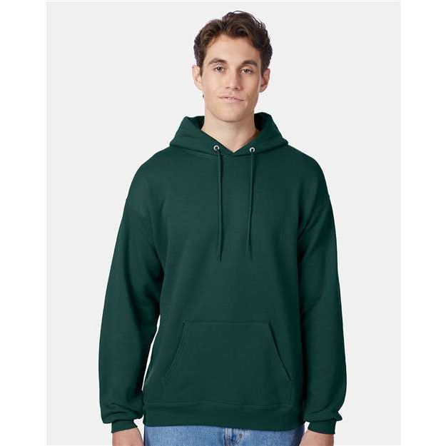 Hanes Ecosmart® Hooded Sweatshirt - Deep Forest - Hanes P170 Hanes