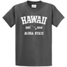 Vintage Hawaiian Islands Tee's in 42 Colors and Regular, Big and Tall Sizes 1959 - Dark Heather Grey / White logo Joe's USA Dark Heather Grey / White logo Small