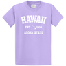 Vintage Hawaiian Islands Tee's in 42 Colors and Regular, Big and Tall Sizes 1959 - Lavender / White logo Joe's USA Lavender / White logo Small