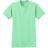 Soft Cotton Lightweight T-Shirt for Men by Joe's USA - Spearmint T-Shirts Joe's USA Spearmint S