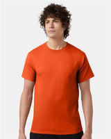 Champion T425 Unisex Classic T-Shirt