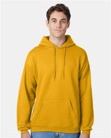Hanes Unisex EcoSmart® Hooded Sweatshirt - Hanes P170