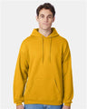 Hanes Unisex EcoSmart® Hooded Sweatshirt - Hanes P170