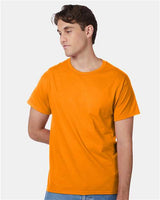 Hanes 5250 Unisex Authentic T-Shirt