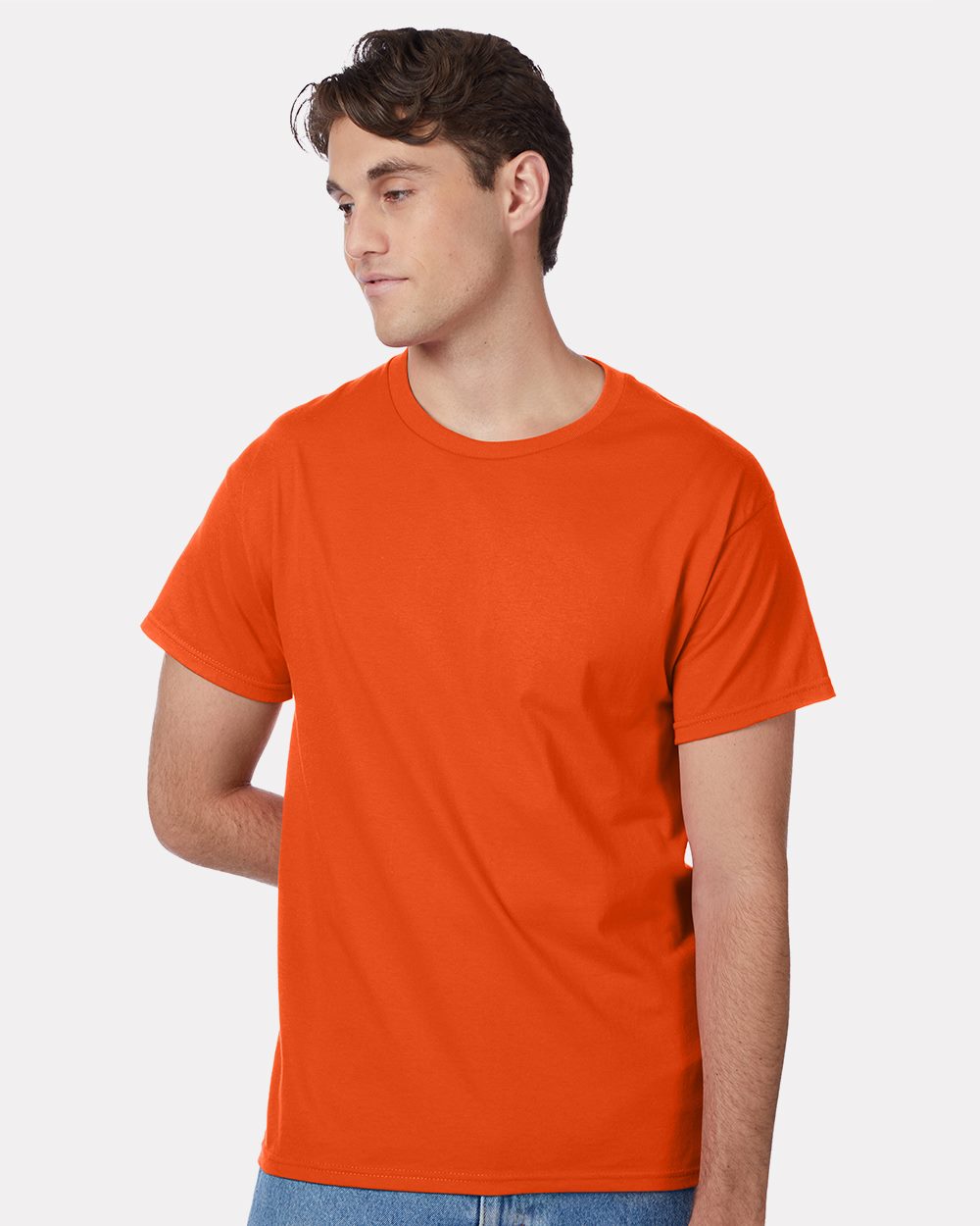 Hanes 5250 Unisex Authentic T-Shirt