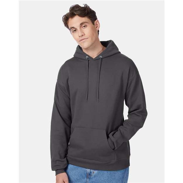 Hanes Ecosmart® Hooded Sweatshirt - Smoke Grey - Hanes P170 Hanes