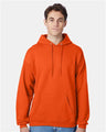 Hanes P170 Unisex EcoSmart Hooded Sweatshirt