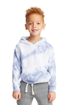 Royal Apparel 3699CTD Toddler Fleece Cloud Tie Dye Pullover Hoodie - Infinity