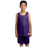 Youth PosiCharge Classic Mesh Reversible Tank DRI-EQUIP Youth X-Small Purple
