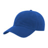 JOE102 Papa Joe Dad Hat - Royal