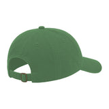 JOE102 Papa Joe Dad Hat - Green (Back)
