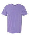 Comfort Colors Unisex Garment-Dyed Heavyweight T-Shirt - Comfort Colors 1717