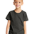 Royal Apparel 5161PD Toddler Vintage Pigment Dyed Tee - Charcoal