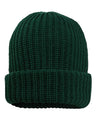 Sportsman 12" Chunky Cuffed Beanie - Sportsman SP90 Sportsman Forest Green One Size