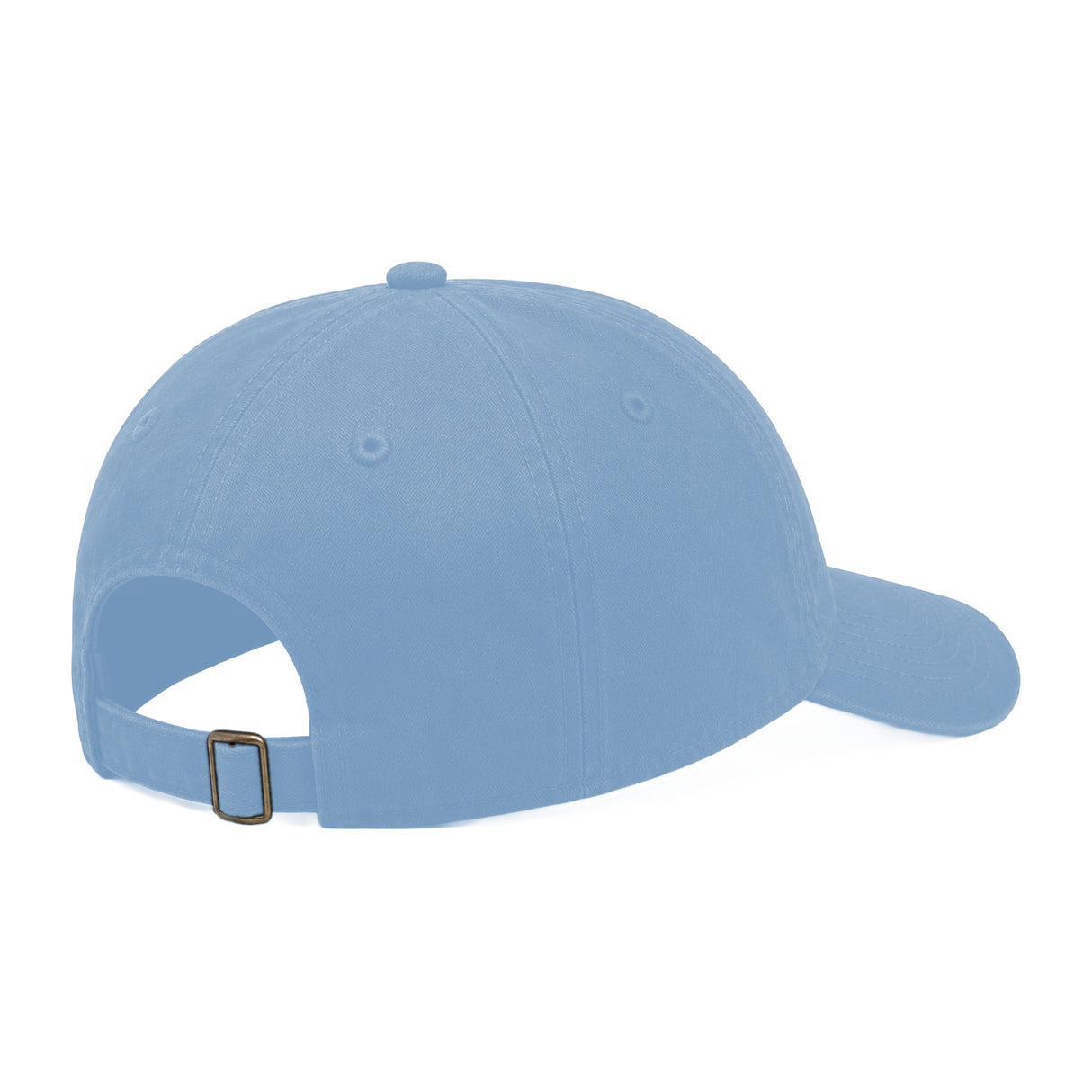 JOE102 Papa Joe Dad Hat - Sky Blue (Back)