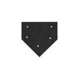Champion Sports SAVE-A-LEG HOME PLATE