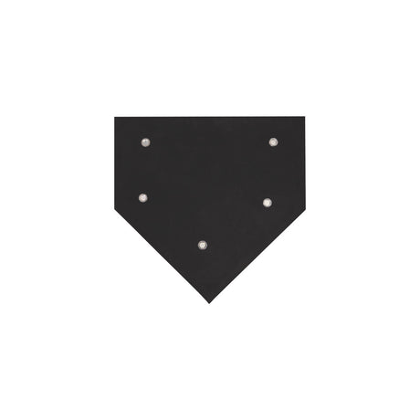 Champion Sports SAVE-A-LEG HOME PLATE