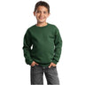 Youth Crewneck Sweatshirt Joe's USA Dark Green Youth X-Small