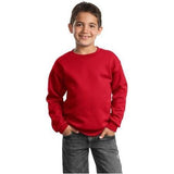 Youth Crewneck Sweatshirt Joe's USA